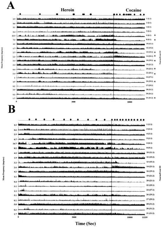 Fig. 10.