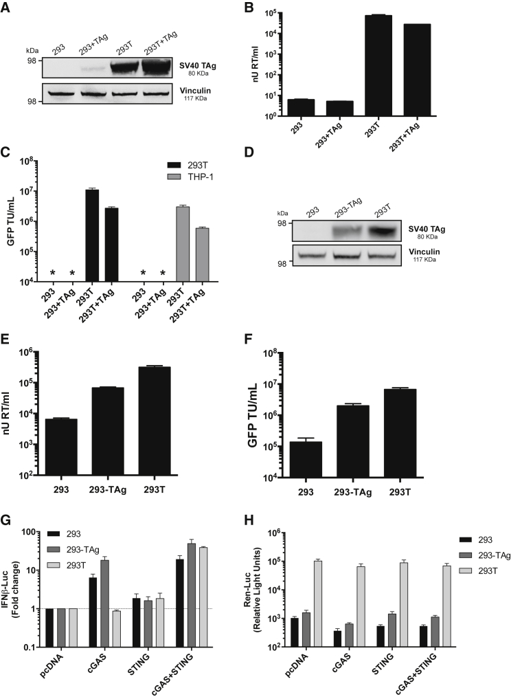 Figure 5