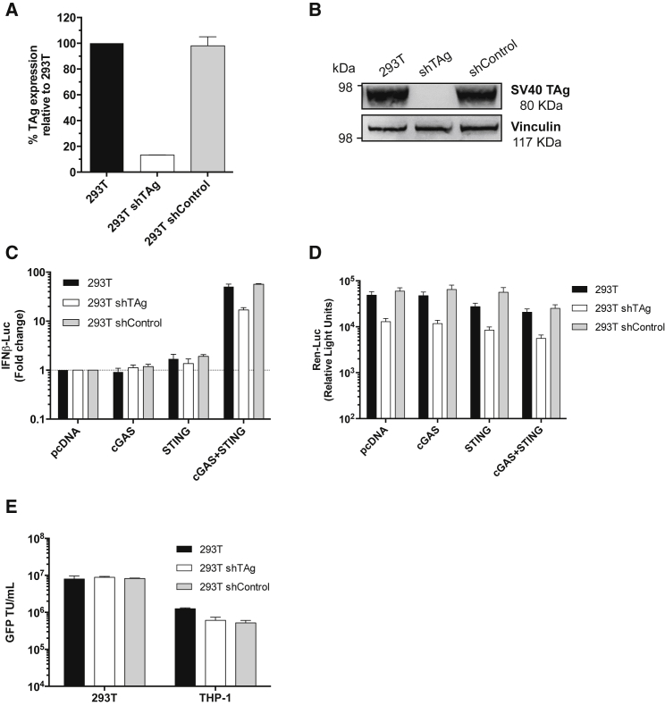 Figure 4