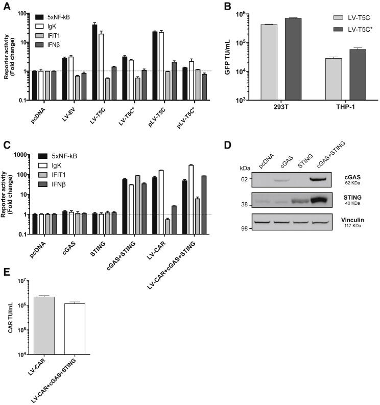 Figure 1