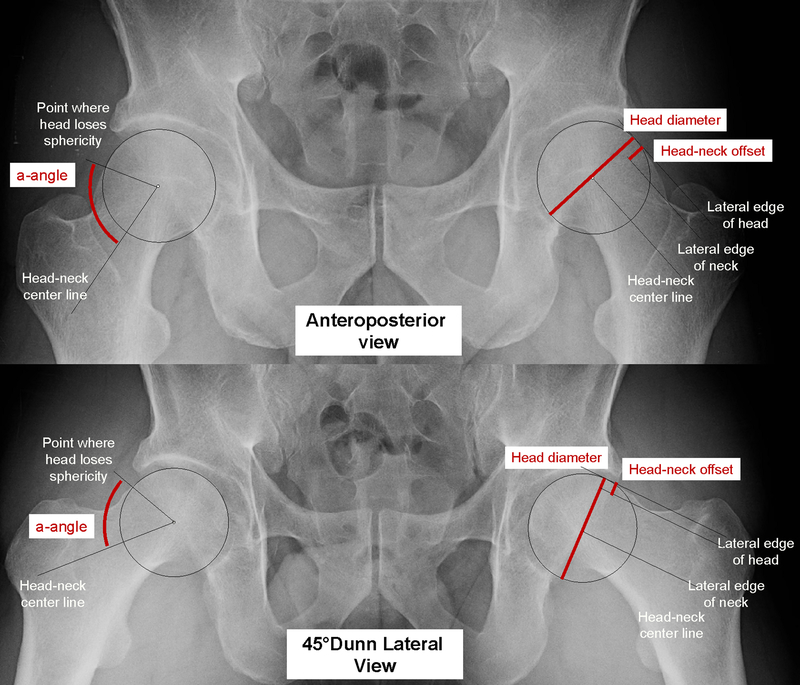 Figure 1: