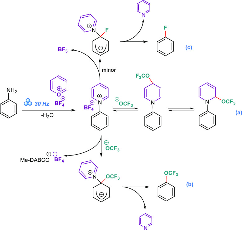 Scheme 4