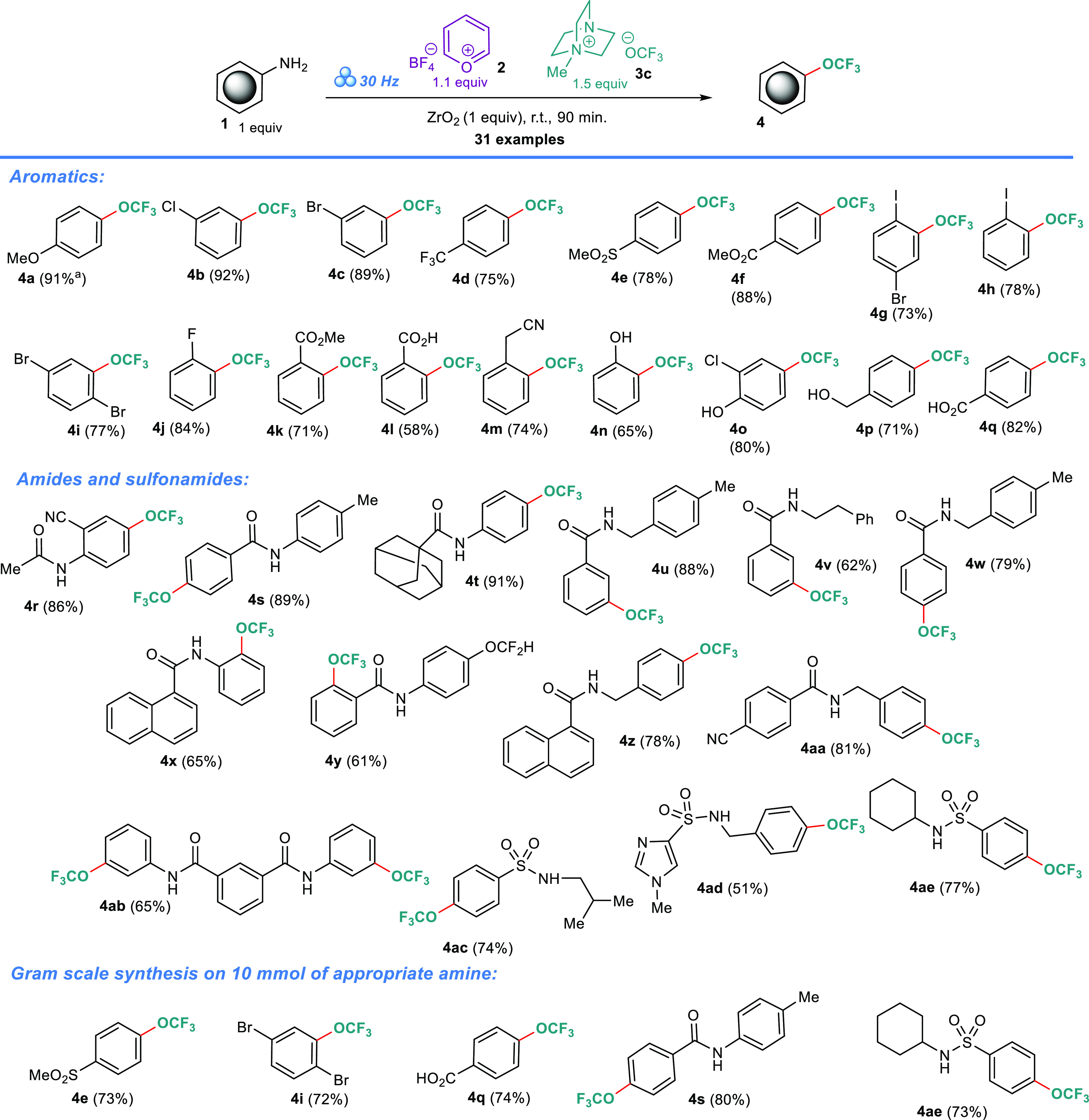 Scheme 3