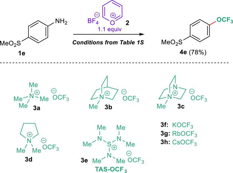 Scheme 2