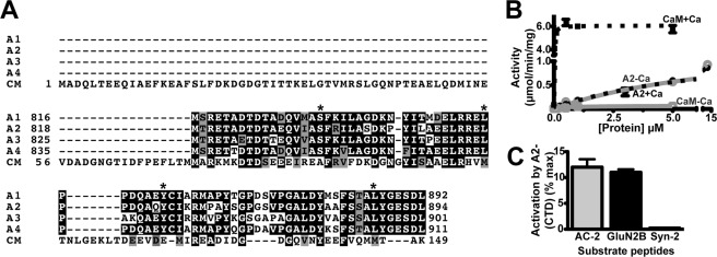 FIGURE 1.