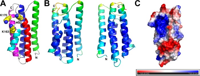 FIG 1