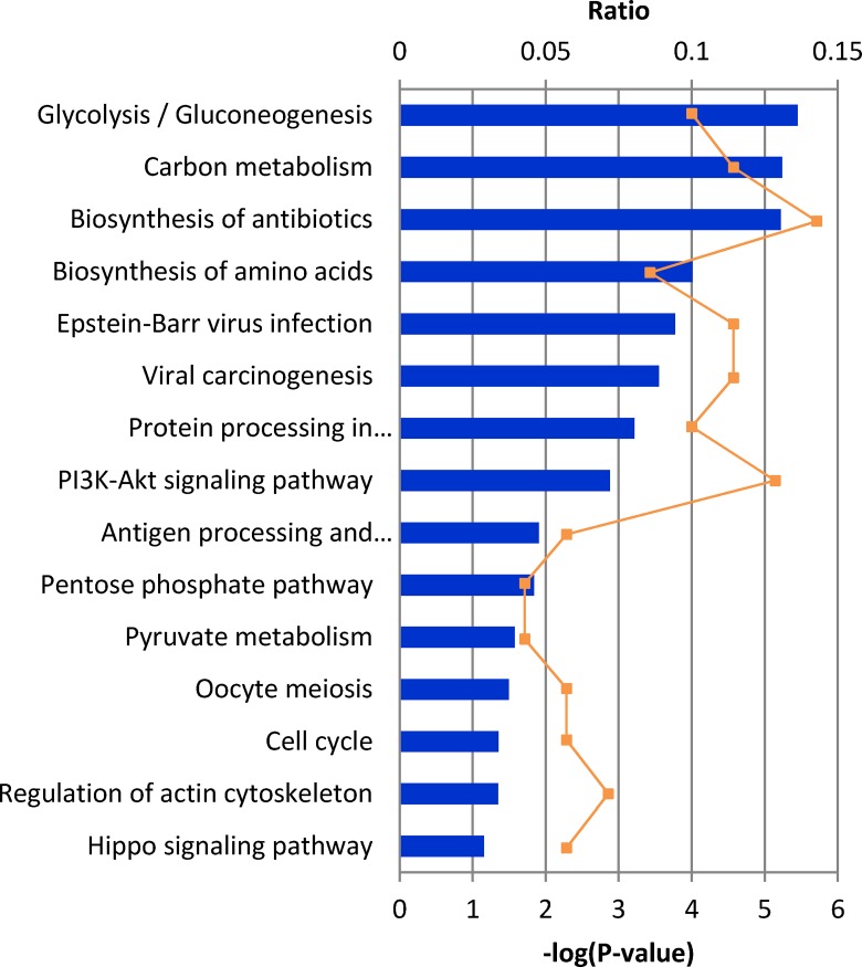 Fig 3