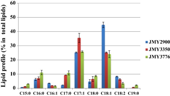 Fig. 4