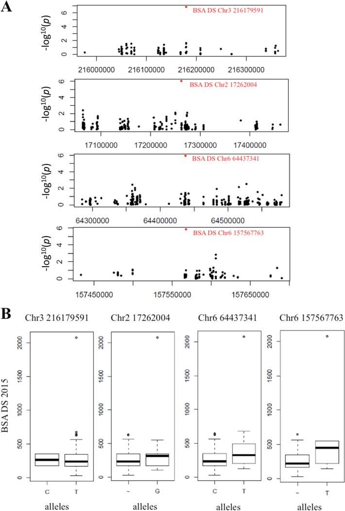 Fig 6