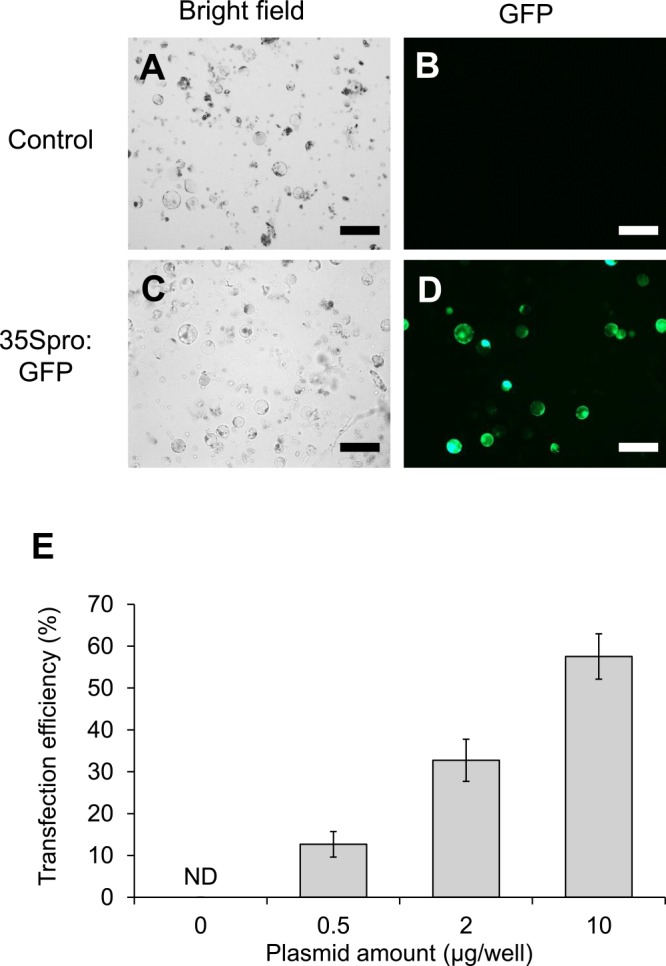 Fig. 3.