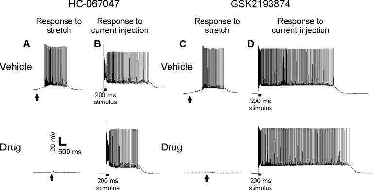 Figure 4: