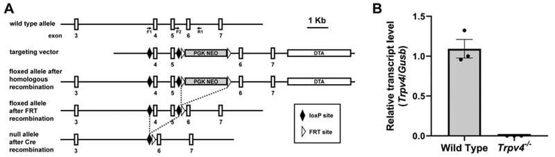 Figure 1: