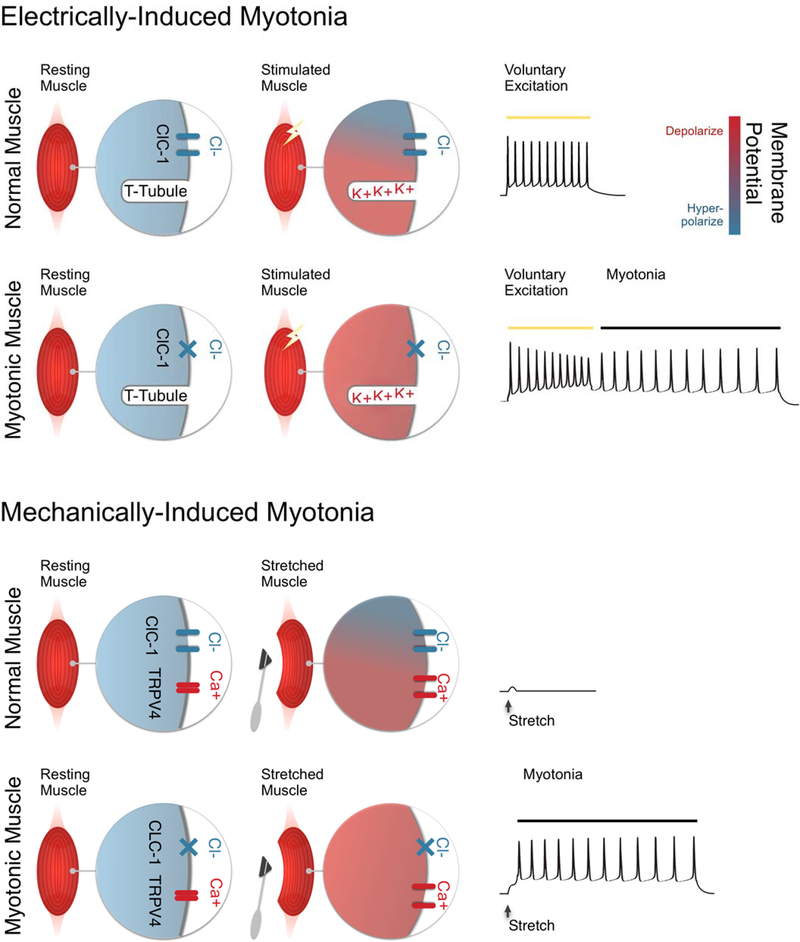 Figure 6: