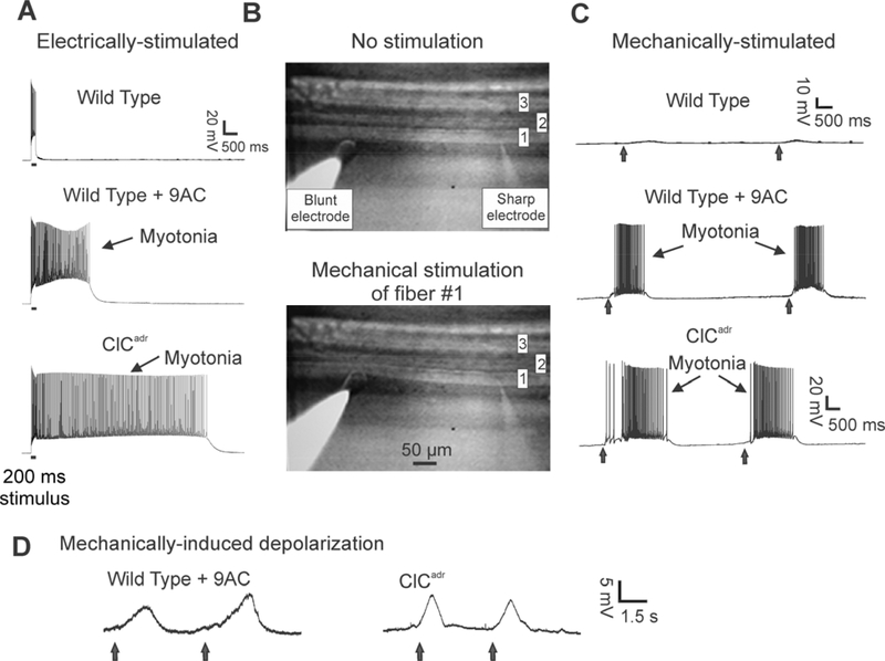 Figure 2: