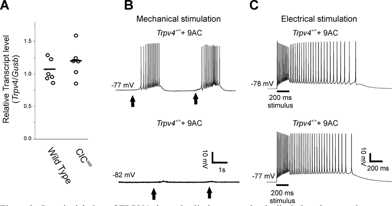 Figure 3: