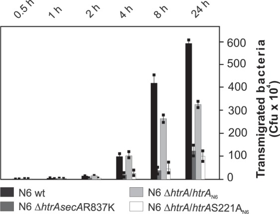 Figure 5