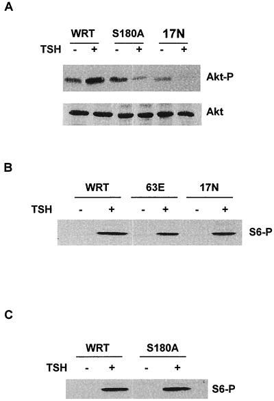 FIG. 8