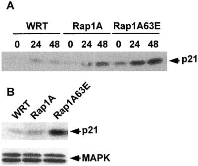 FIG. 6