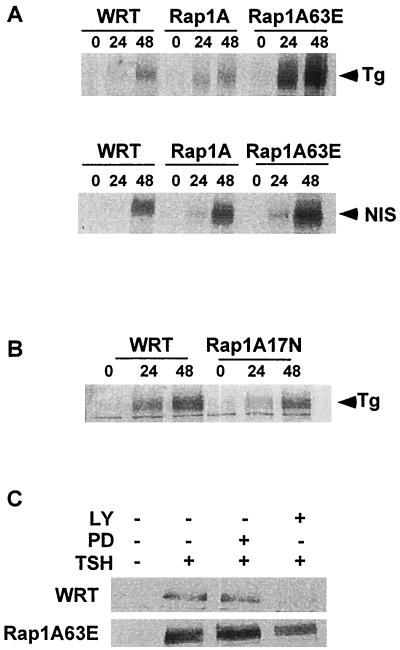 FIG. 5