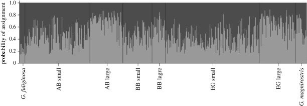 Figure 6.