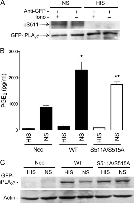 FIGURE 12.