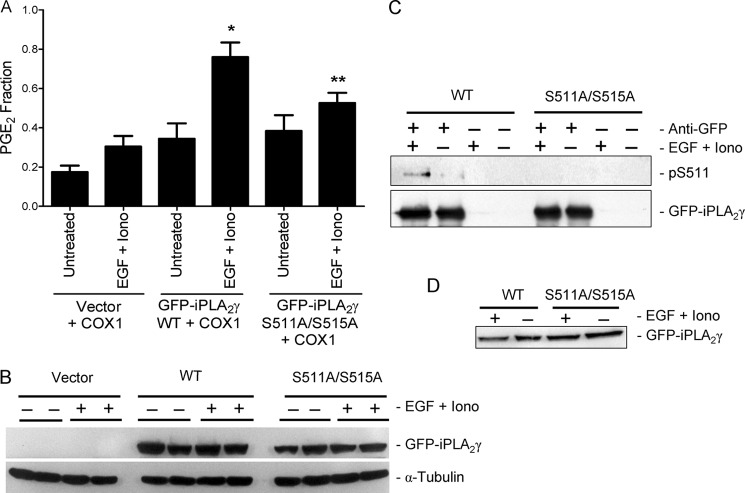 FIGURE 10.