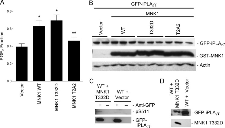 FIGURE 11.