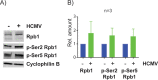 FIG 15