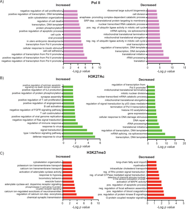 FIG 13