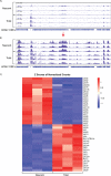 FIG 4