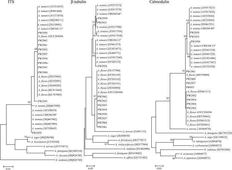 FIG 2