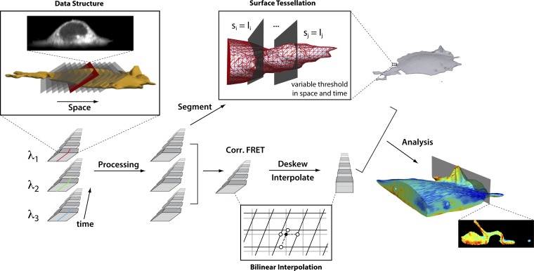 Figure 2.