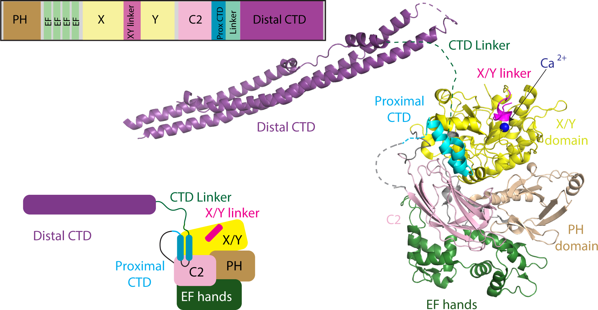 Figure 1: