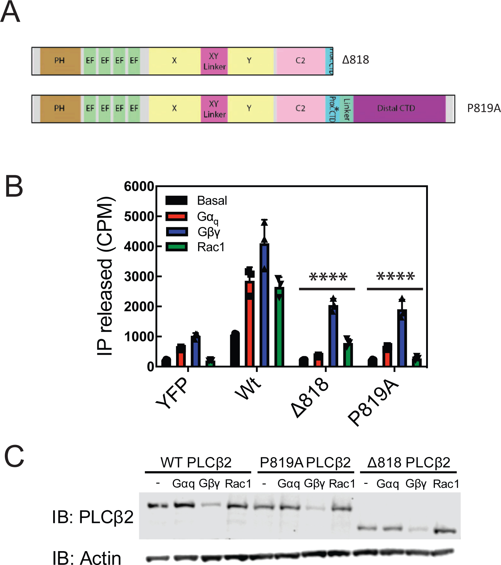 Figure 7: