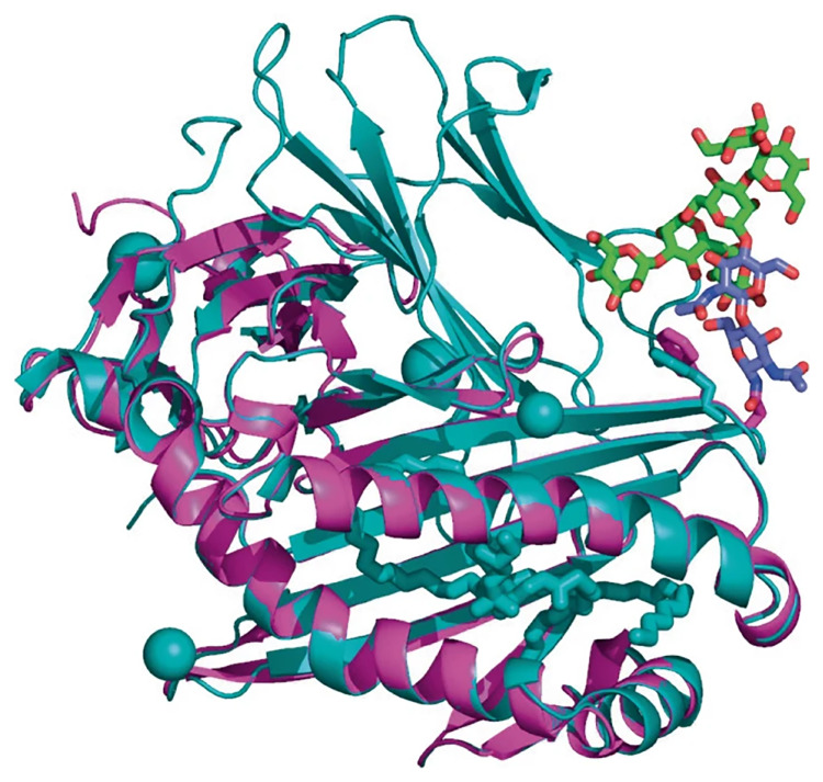 graphic file with name pnas.2202107119fig01.jpg