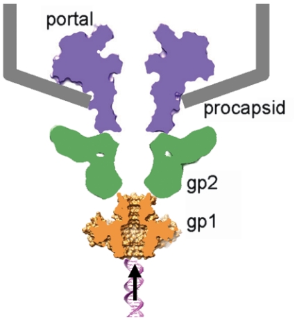 Fig. 6.