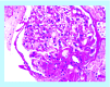<b>Figure 2.</b>