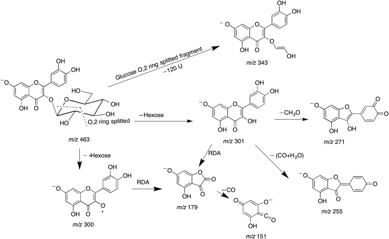 Figure 3.