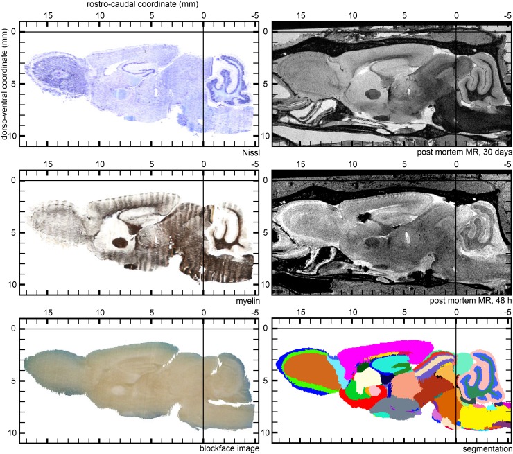 Fig. 8