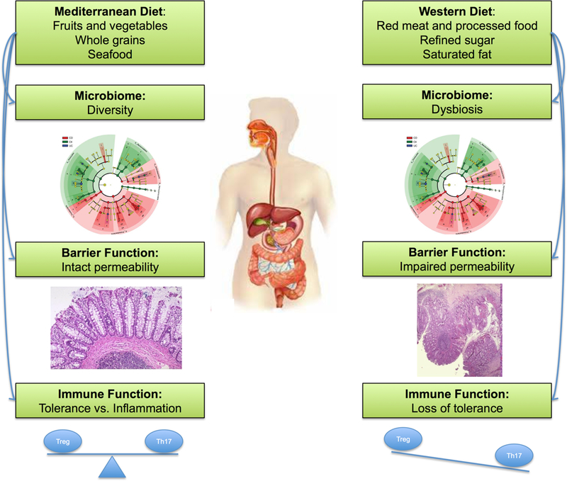 Figure 2 |