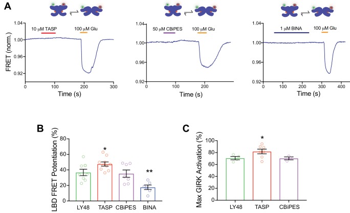 Figure 4—figure supplement 3.