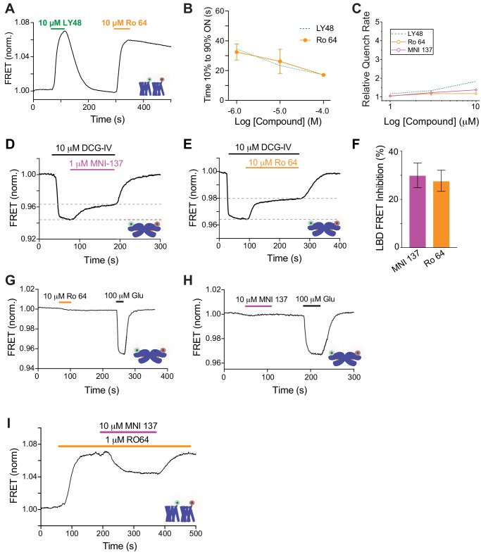 Figure 7—figure supplement 1.