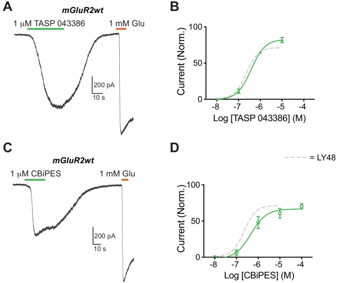 Figure 1—figure supplement 2.