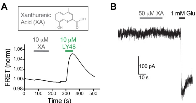 Figure 4—figure supplement 2.