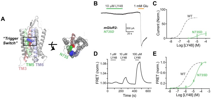 Figure 3—figure supplement 3.