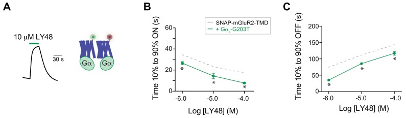 Figure 6—figure supplement 2.