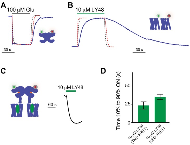 Figure 5—figure supplement 1.