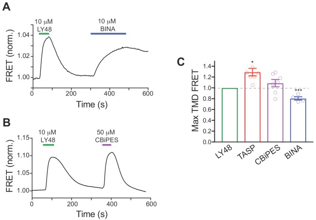 Figure 4—figure supplement 1.