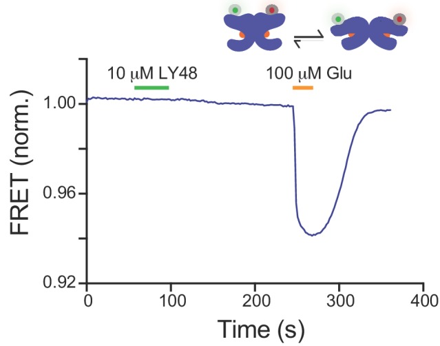 Figure 1—figure supplement 3.