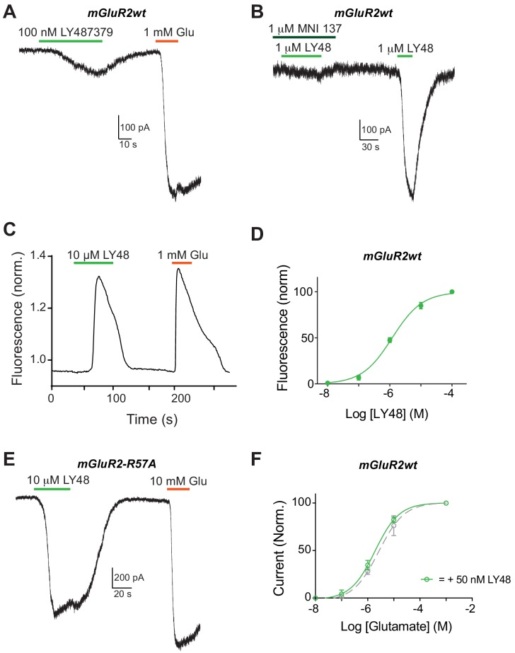 Figure 1—figure supplement 1.